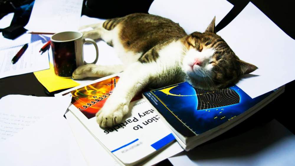 Tugral posted this image to Facebook, Oct. 8, 2014, with the caption, &quot;Falling asleep while studying...&quot;