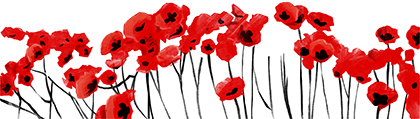 Illustration of a row of red poppy flowers.