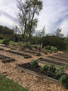 Old Ferguson West Community Garden: Photo OFWCG