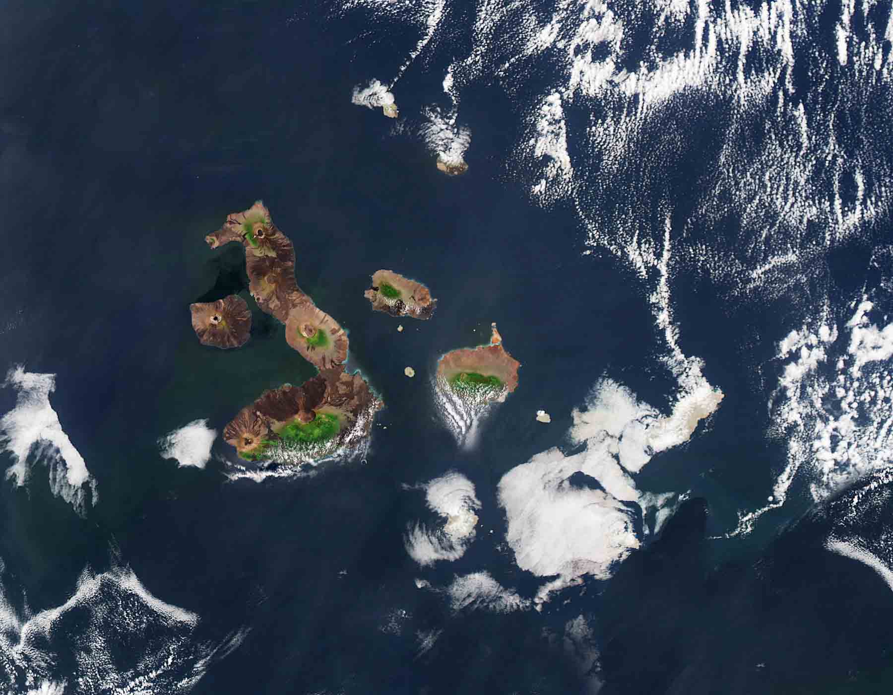Galapagos  Floating Swarm