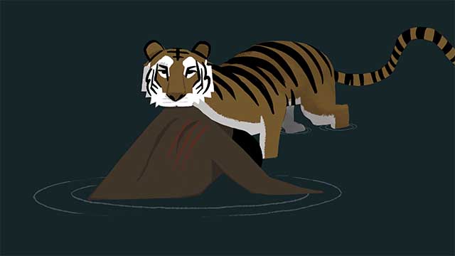 Storyboard illustration of a tiger lifting a body from the water.